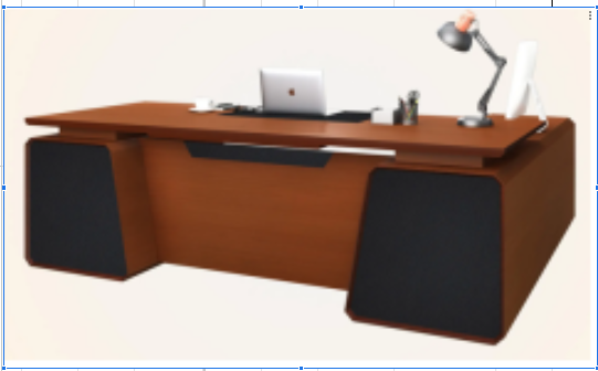 CEO / Director Table